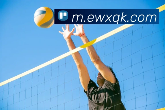 开运体育·APP 封面图